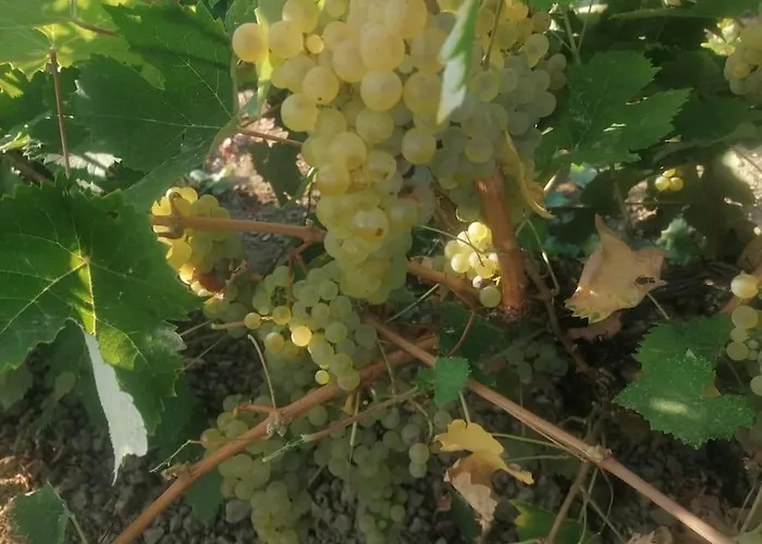 Marinos * Kalamákion