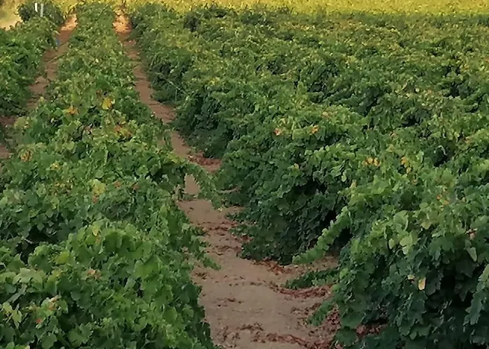 Marinos 别墅 Kalamákion