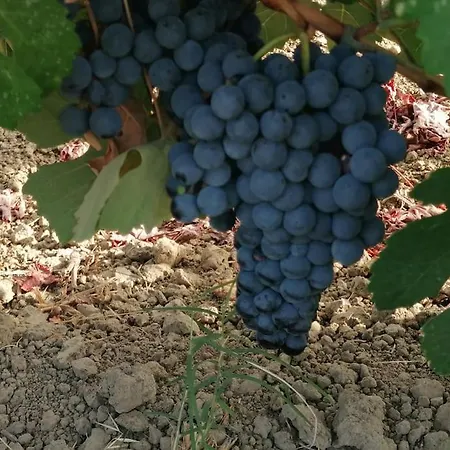 וילה Marinos Kalamákion