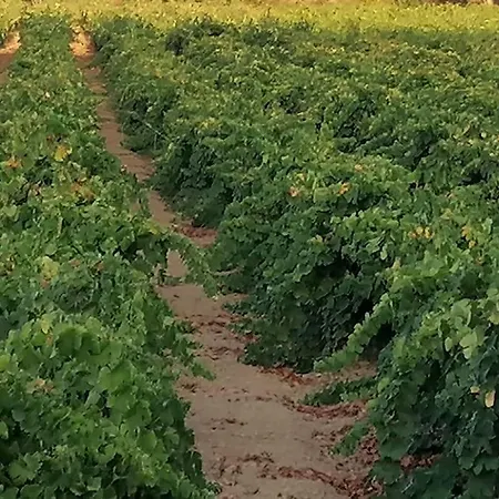 Marinos וילה Kalamákion